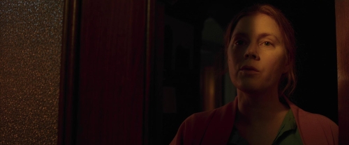 The Woman in the Window 16