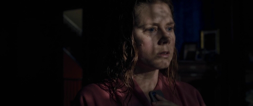 The Woman in the Window 20