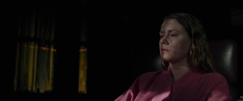 The Woman in the Window 22