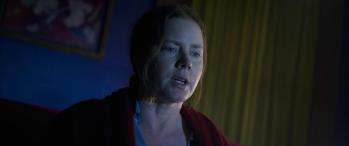 The Woman in the Window 28