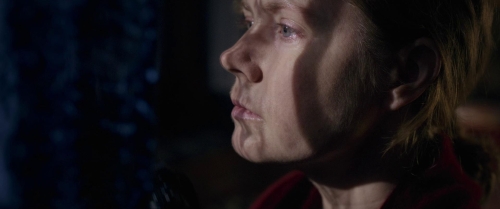 The Woman in the Window 29