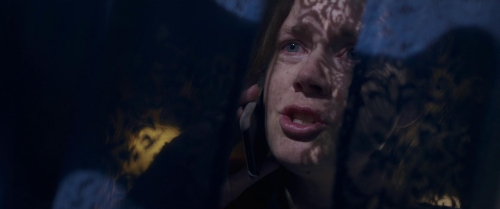 The Woman in the Window 30