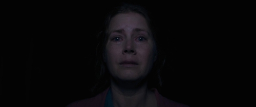 The Woman in the Window 41