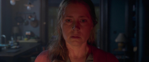 The Woman in the Window 44