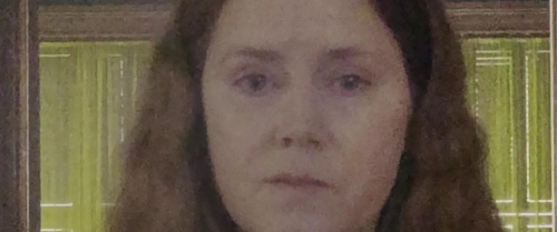 The Woman in the Window 46