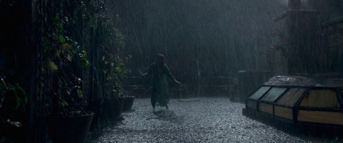 The Woman in the Window 54