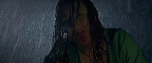 The Woman in the Window 55