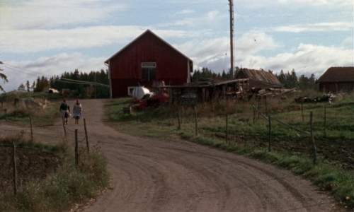 Thriller A Cruel Picture 07