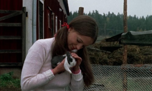 Thriller A Cruel Picture 08