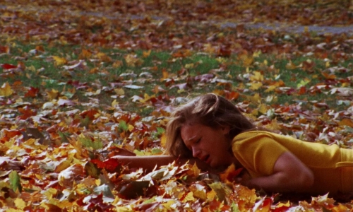 Thriller A Cruel Picture 17