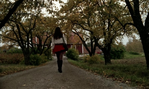 Thriller A Cruel Picture 29