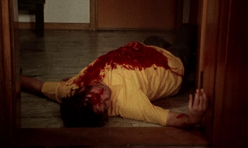 Thriller A Cruel Picture 47