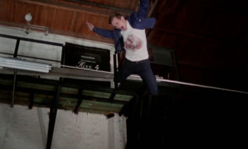 Thriller A Cruel Picture 51