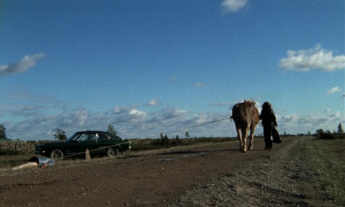 Thriller A Cruel Picture 62