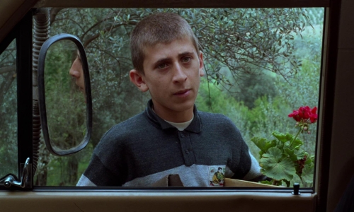 Through The Olive Trees 10