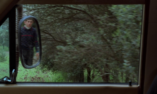 Through The Olive Trees 11