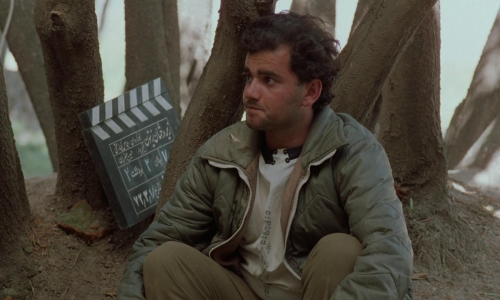 Through The Olive Trees 18