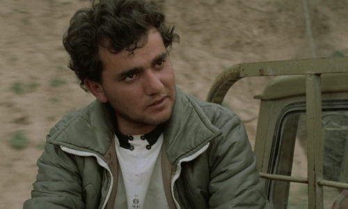 Through The Olive Trees 23