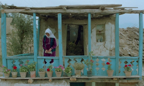 Through The Olive Trees 25