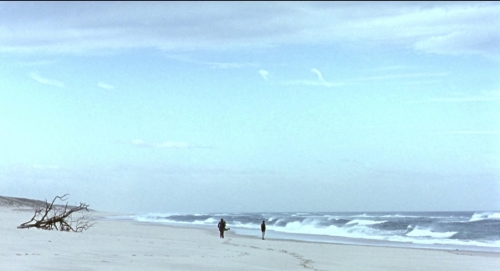 Under The Sand 65