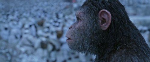 War for the Planet of the Apes 053
