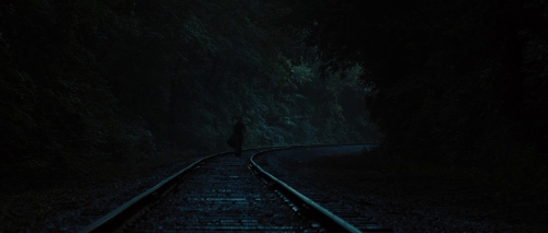 Water For Elephants 11
