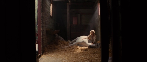 Water For Elephants 23