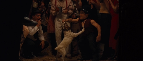 Water For Elephants 25