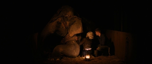 Water For Elephants 31