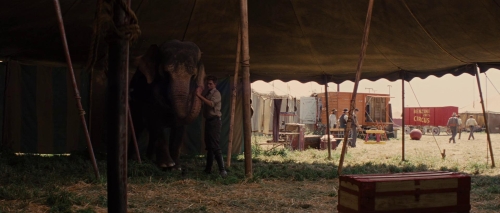 Water For Elephants 32