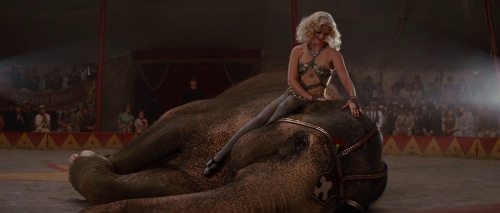 Water For Elephants 47