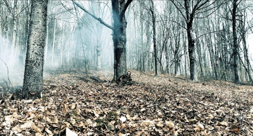 Where the Devil Roams 15