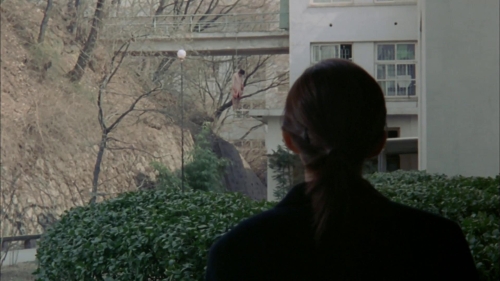 Whispering Corridors 12