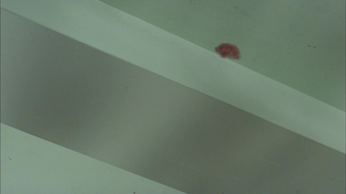 Whispering Corridors 22