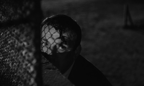 Witness in the City 52