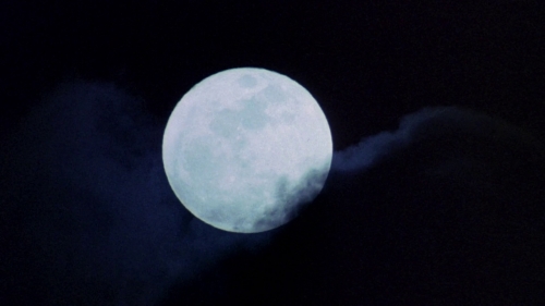 nightbreed003