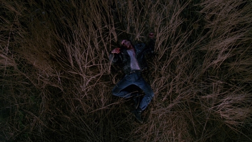 nightbreed019