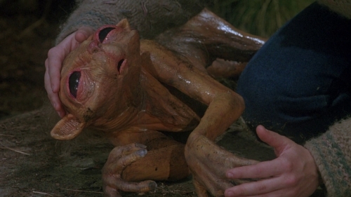 nightbreed027